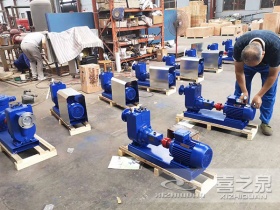 什么原因導致螺桿泵定子磨損以及怎么解決洗砂泵出口壓力低的辦法